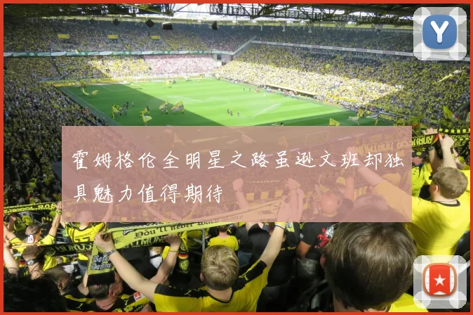霍姆格伦全明星之路虽逊文班却独具魅力值得期待
